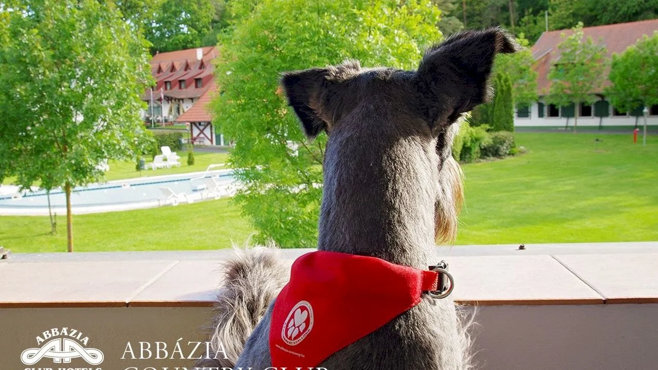 Abbázia Country Club – 35. kép