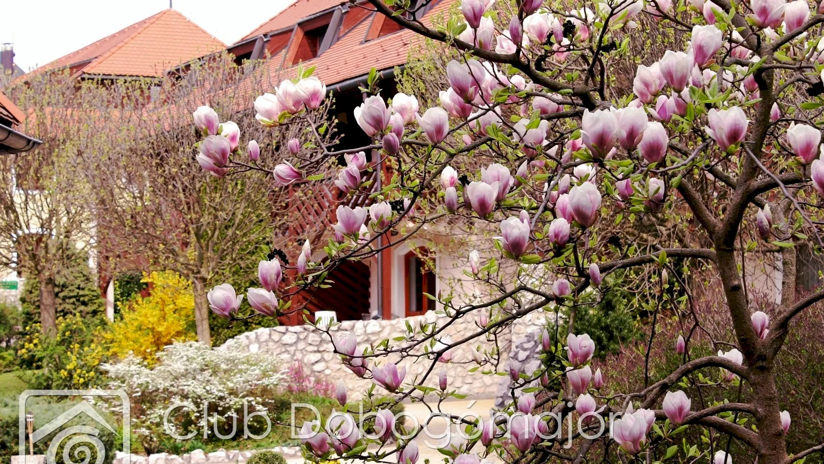 Club Dobogómajor – 55. kép