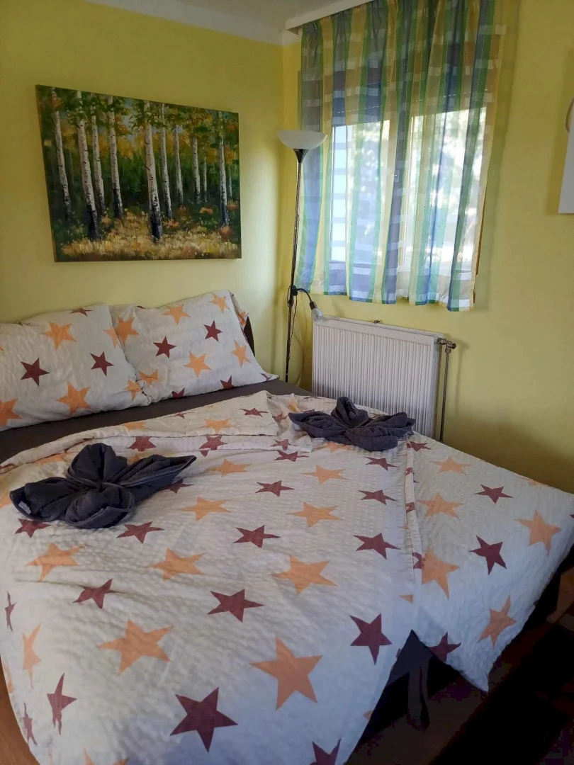 Czanadomb Vendégház és Apartman – 10. kép