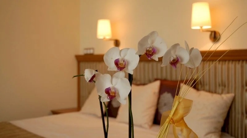 Aphrodite Hotel – 12. kép